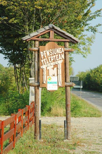 Pension Teleptean Ocna Şugatag Buitenkant foto